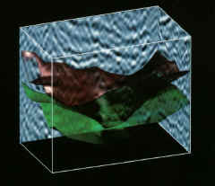 seis-03.jpg (38087 bytes)