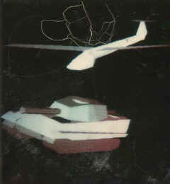 ncsu-01.jpg (31445 bytes)